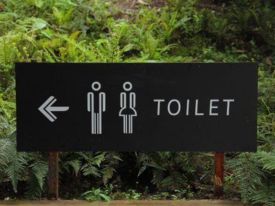 About Murrieta Portable Toilets Rental - construction toilets experts in Murrieta,ca